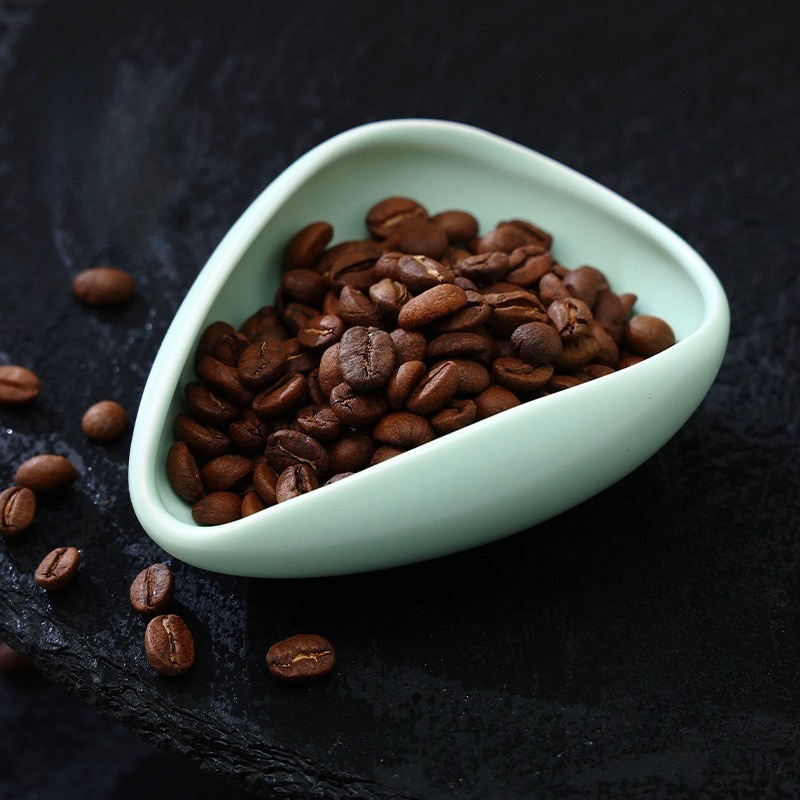 multicolour Coffee Bean Plate  - Home Bar Cafe ulasan dan harga