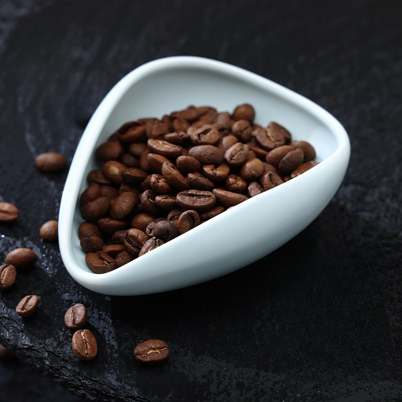 multicolour Coffee Bean Plate  - Home Bar Cafe ulasan dan harga