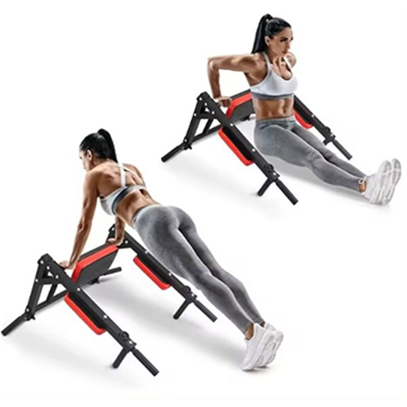 Heavy Duty Wall Mounted Parall - Home Bar And Gym ulasan dan harga